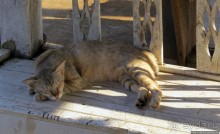 Буддистский монастырь на горе Змея в Хуэйсае