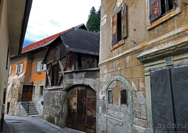 Знакомимся с Тржичем