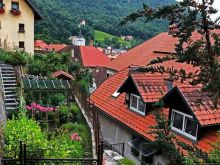 Знакомимся с Тржичем