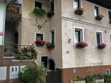 Знакомимся с Тржичем