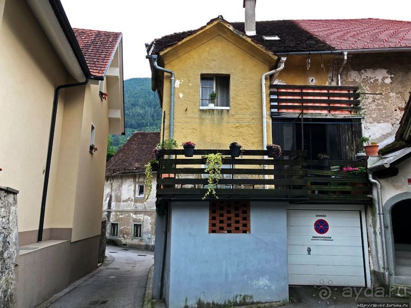 Знакомимся с Тржичем