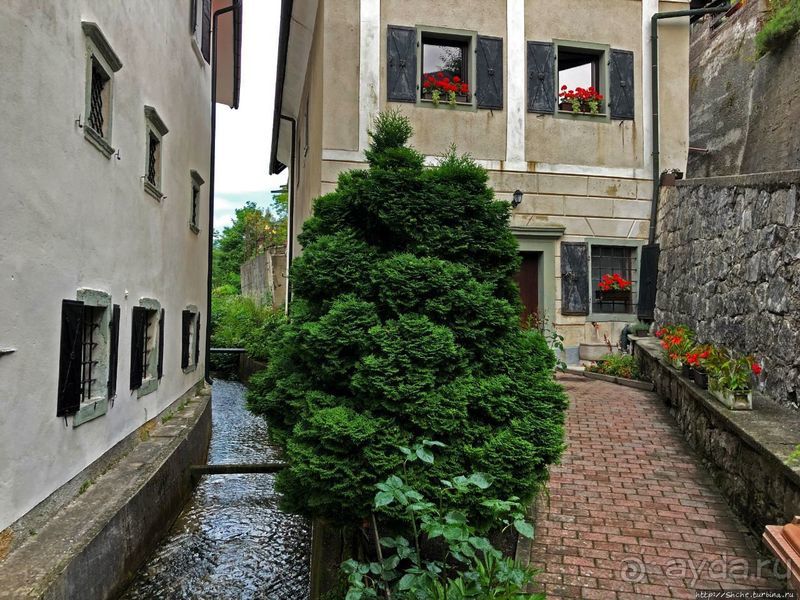 Знакомимся с Тржичем