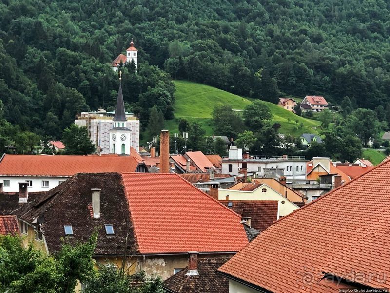 Знакомимся с Тржичем