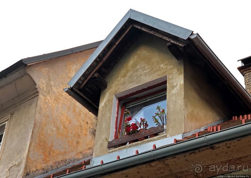 Знакомимся с Тржичем