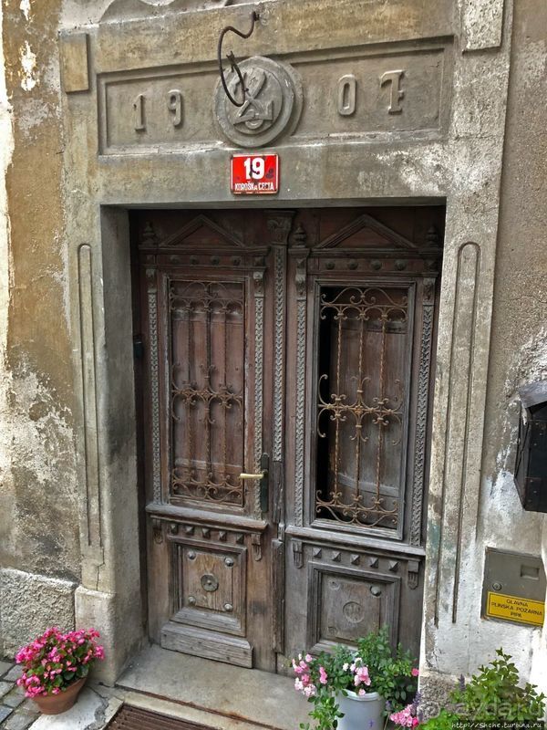 Знакомимся с Тржичем