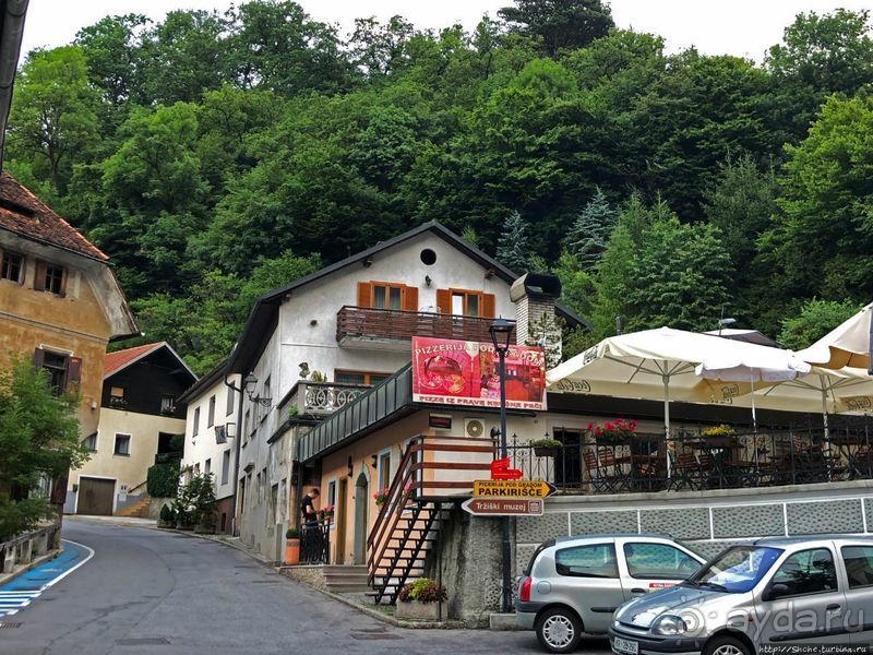 Знакомимся с Тржичем