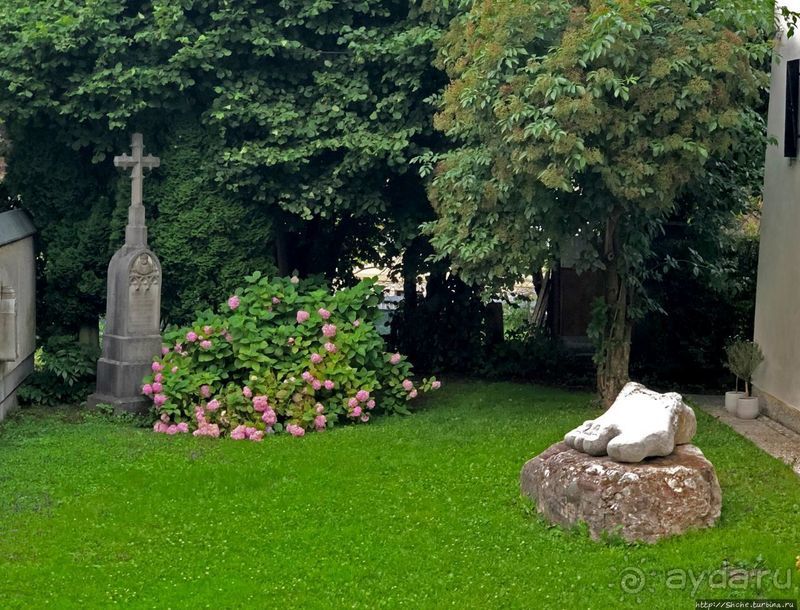 Знакомимся с Тржичем