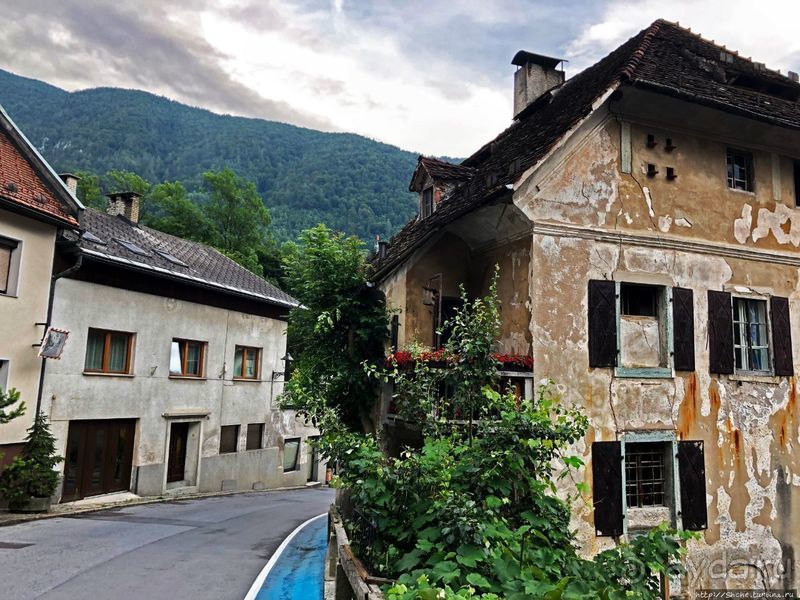 Знакомимся с Тржичем