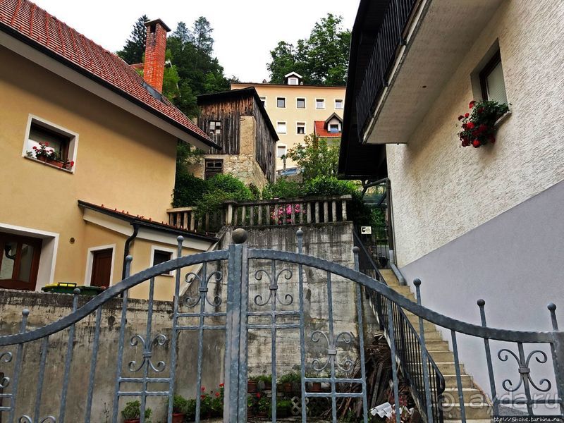 Знакомимся с Тржичем