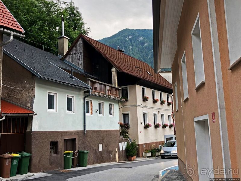 Знакомимся с Тржичем