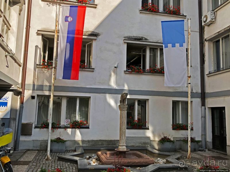 Знакомимся с Тржичем