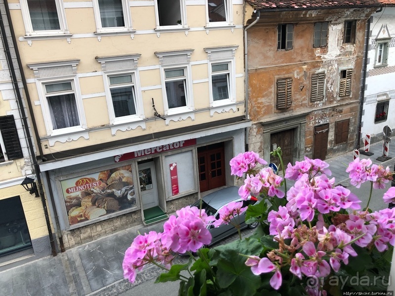 Знакомимся с Тржичем