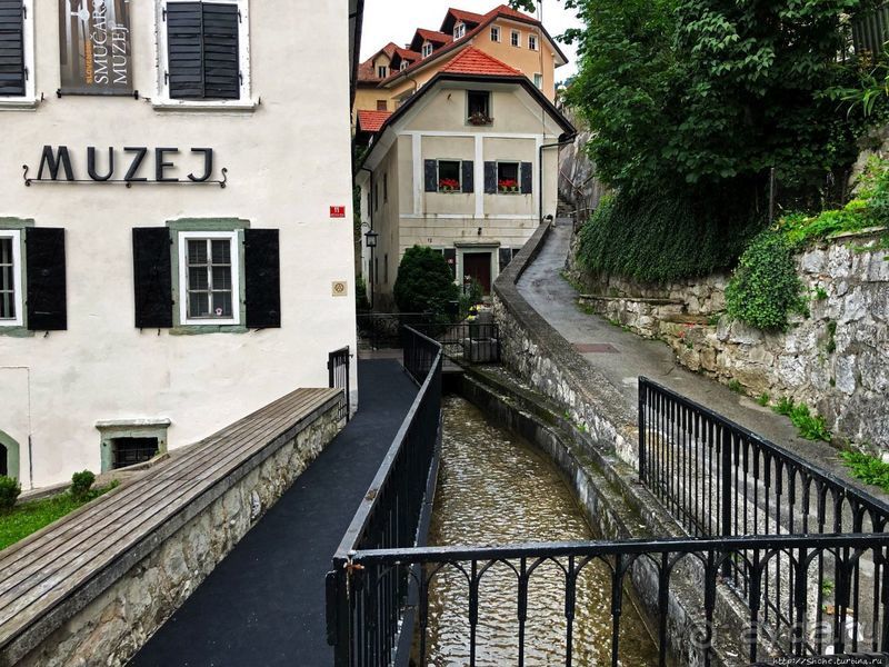 Знакомимся с Тржичем