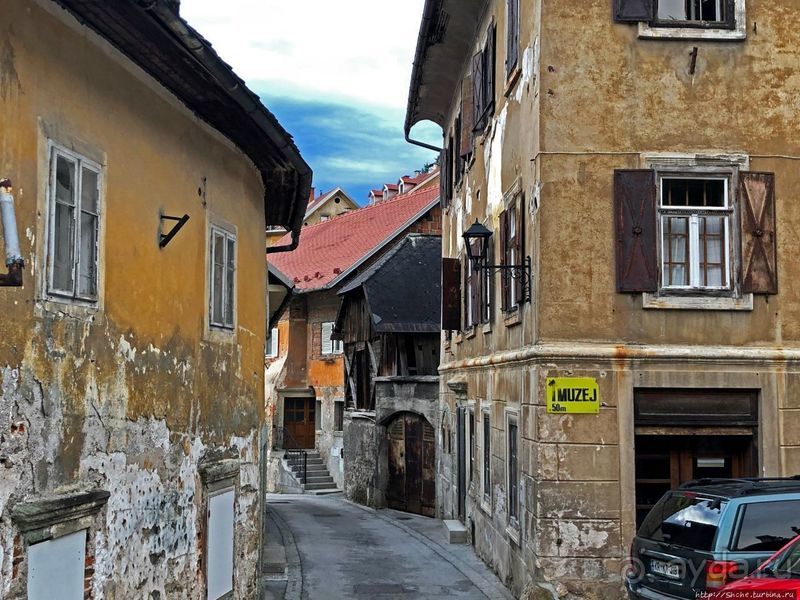 Знакомимся с Тржичем