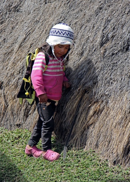 Зарисовки сельской жизни. Провинция Котопакси, Эквадор