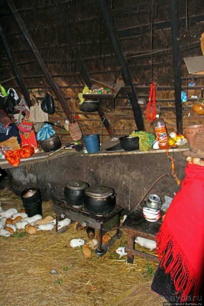 Зарисовки сельской жизни. Провинция Котопакси, Эквадор