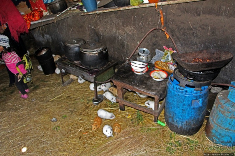 Зарисовки сельской жизни. Провинция Котопакси, Эквадор