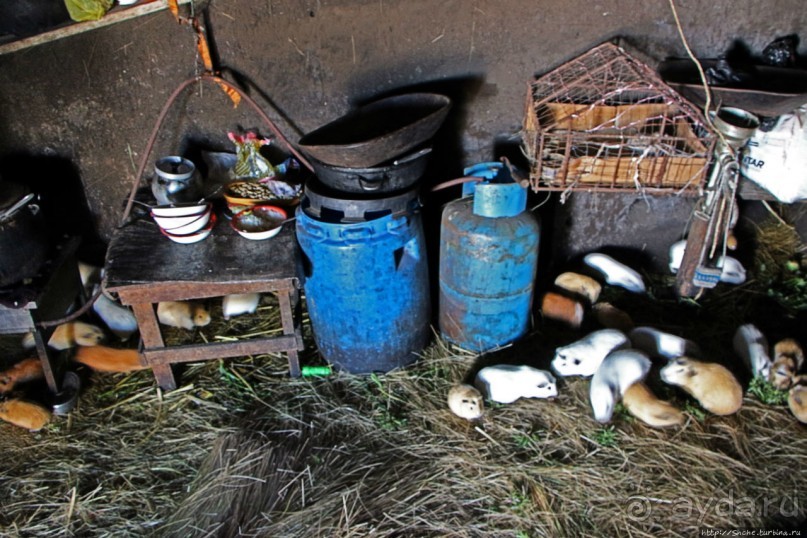 Зарисовки сельской жизни. Провинция Котопакси, Эквадор