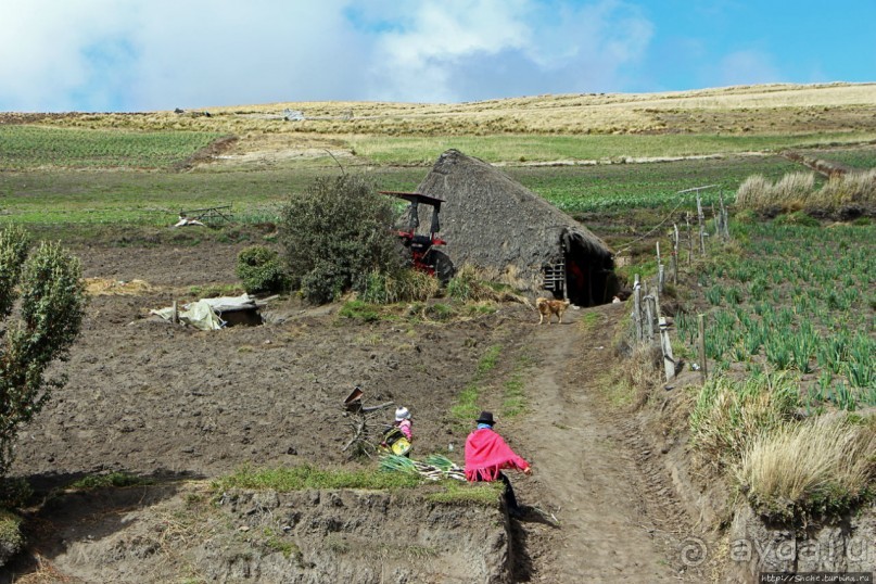 Зарисовки сельской жизни. Провинция Котопакси, Эквадор