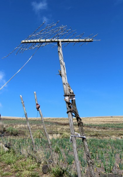 Зарисовки сельской жизни. Провинция Котопакси, Эквадор