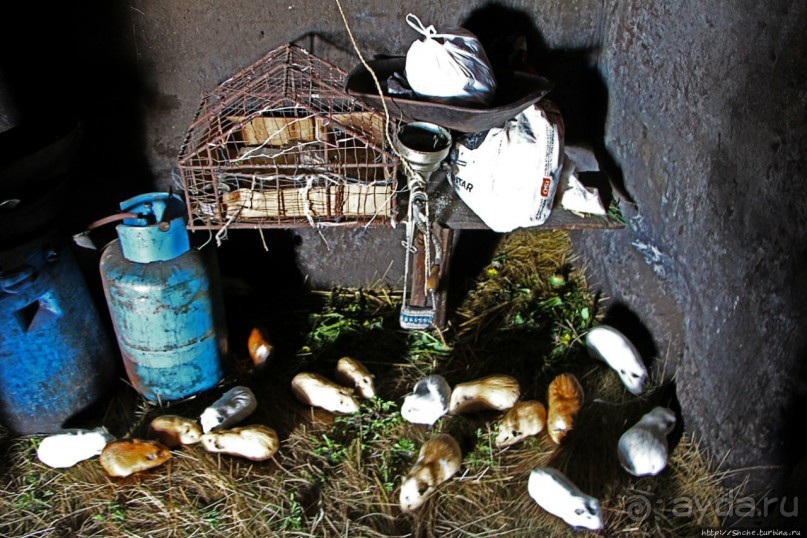 Зарисовки сельской жизни. Провинция Котопакси, Эквадор