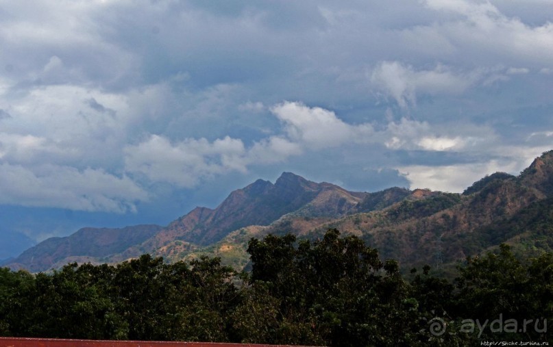 Колокола Св. Екатерины Александрийской