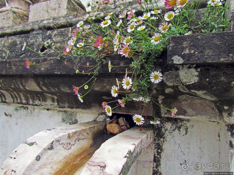 Королевский дворец! Обязан бы соответствовать своему имени