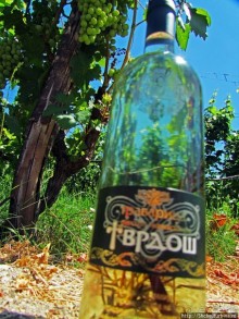 Виноградники, погреба и вина монастыря Тврдош