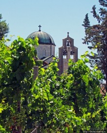 Виноградники, погреба и вина монастыря Тврдош