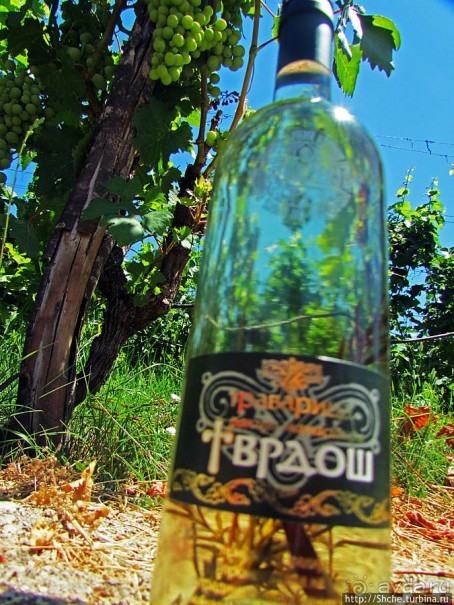 Виноградники, погреба и вина монастыря Тврдош