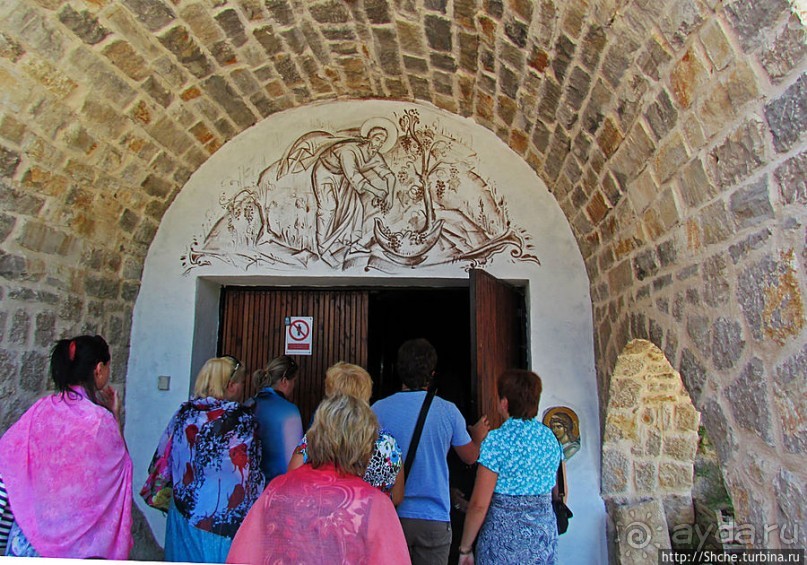 Виноградники, погреба и вина монастыря Тврдош