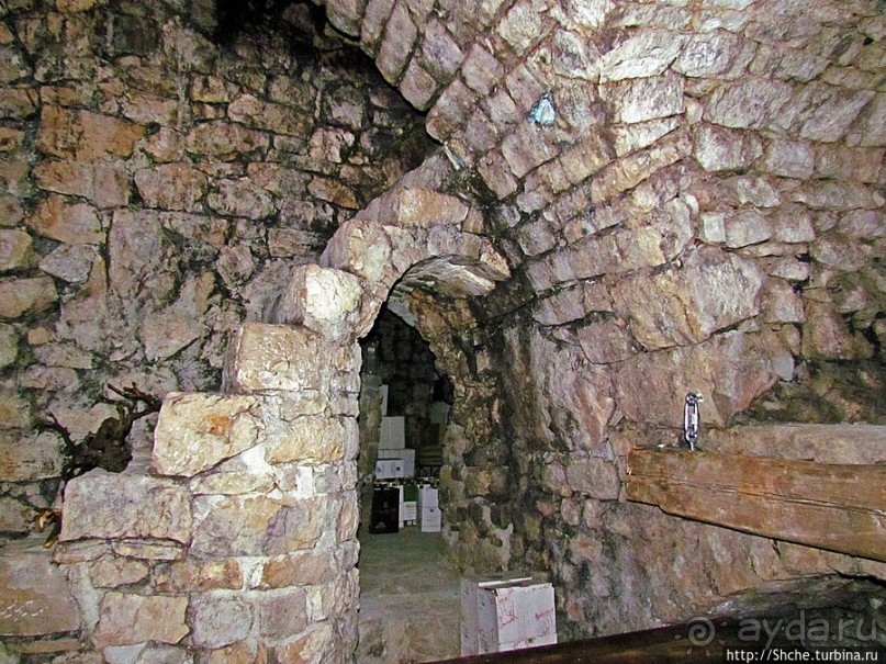 Виноградники, погреба и вина монастыря Тврдош