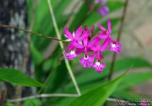 Экзотика проживания в Лагуне Канайма