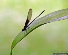 Экзотика проживания в Лагуне Канайма