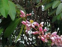 Экзотика проживания в Лагуне Канайма