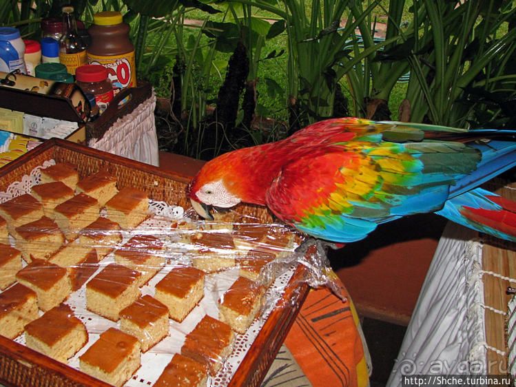 Экзотика проживания в Лагуне Канайма