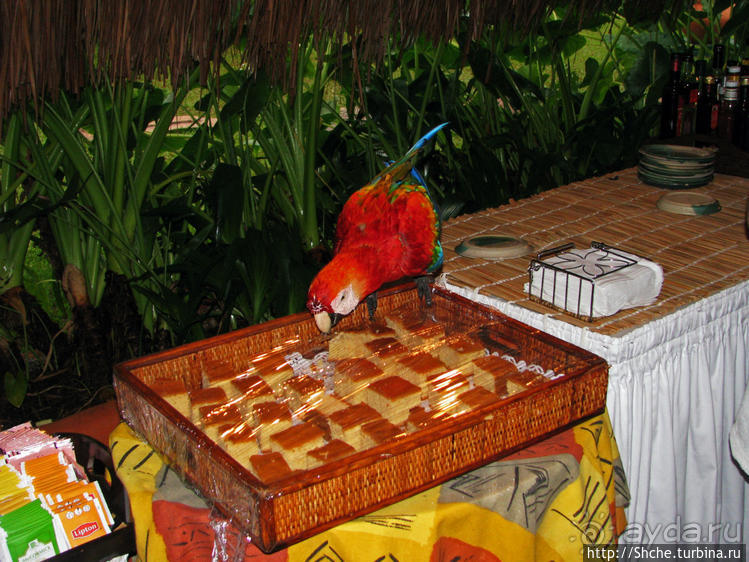 Экзотика проживания в Лагуне Канайма