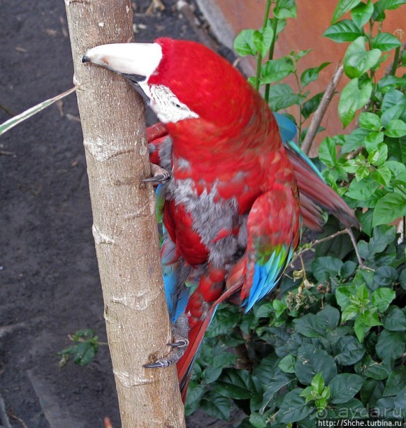 Экзотика проживания в Лагуне Канайма