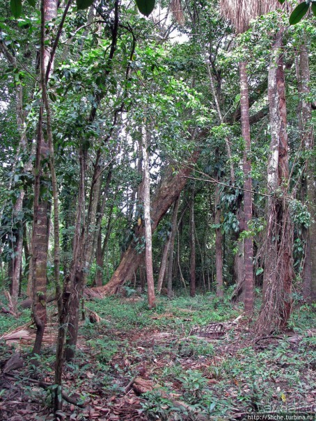Экзотика проживания в Лагуне Канайма