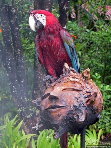 Экзотика проживания в Лагуне Канайма
