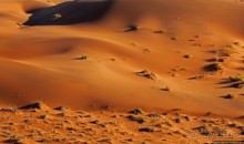 Альбом отзыва "Под крылом самолета о чем-то поет песчаное море Намиб"