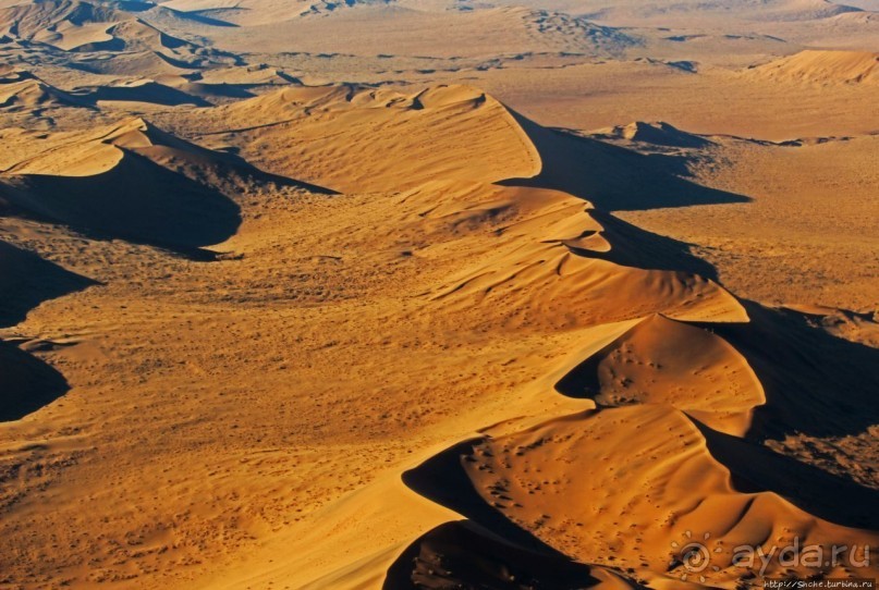 Под крылом самолета о чем-то поет песчаное море Намиб