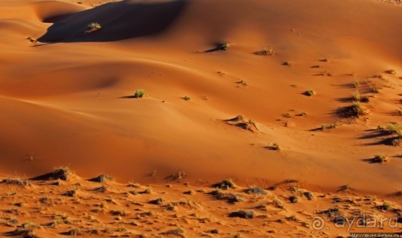 Под крылом самолета о чем-то поет песчаное море Намиб