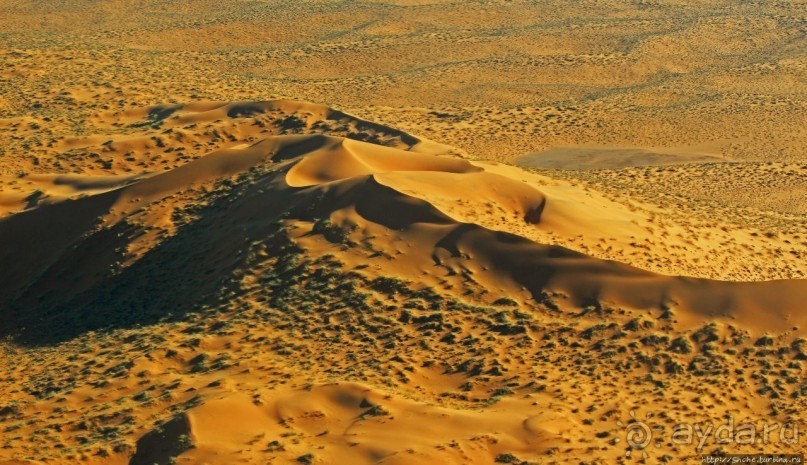 Под крылом самолета о чем-то поет песчаное море Намиб