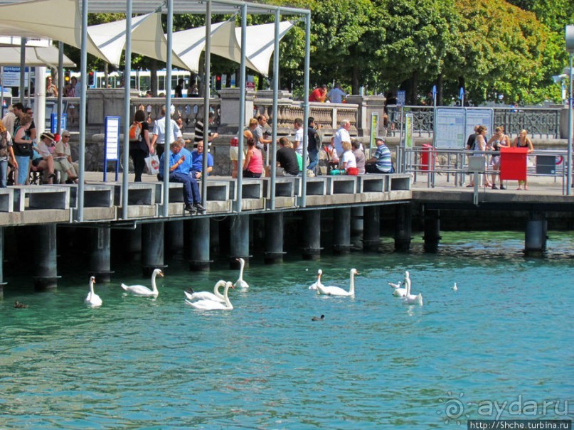 Альбом отзыва "Водная гладь Цюрихского озера"