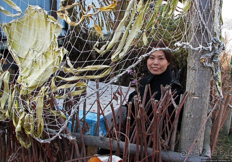 Рыбалка и пикник под Харьковым («Приключения японцев в Украине.»)