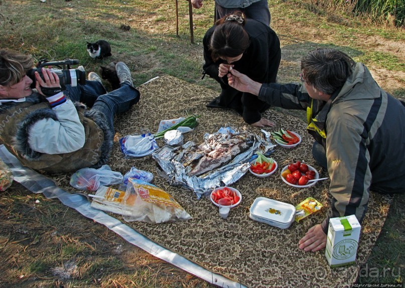 Рыбалка и пикник под Харьковым («Приключения японцев в Украине.»)