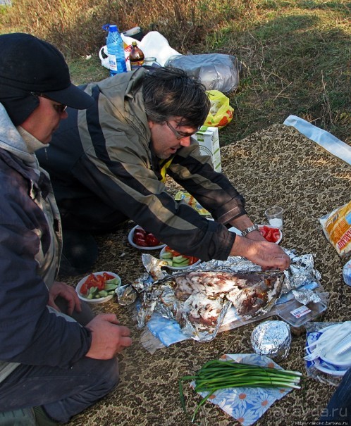 Рыбалка и пикник под Харьковым («Приключения японцев в Украине.»)