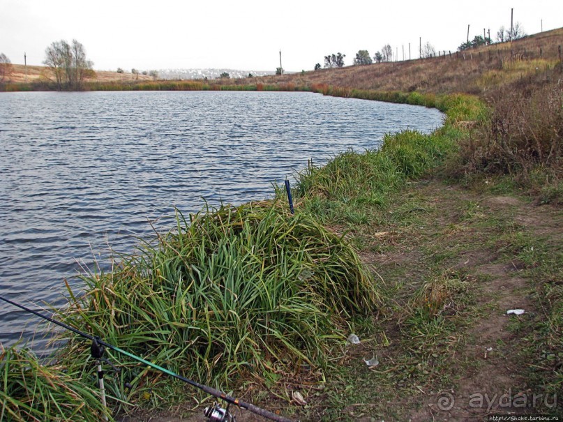 Рыбалка и пикник под Харьковым («Приключения японцев в Украине.»)