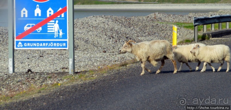 Grundarfjordur - маленький городок "Маленькой Исландии"